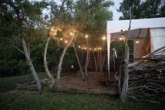 7_kissacat_at-night